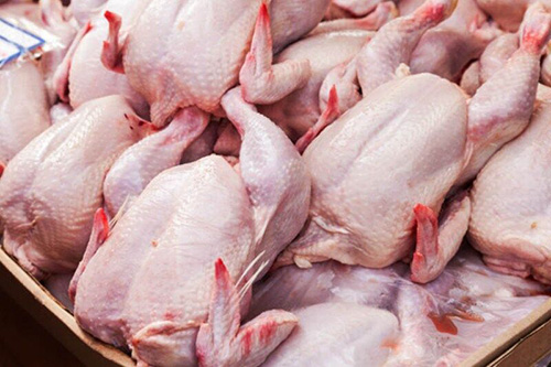 2 تن گوشت مرغ فاقد مجوز در میاندوآب توقیف شد