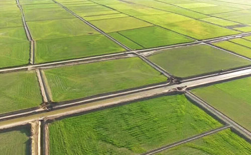 رفع تداخل حدود 91 هزار هکتار از اراضی کشاورزی