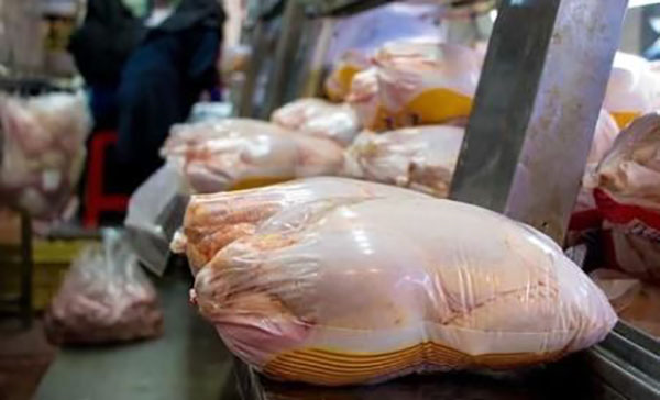 قیمت مرغ منجمد افزایش نیافته است