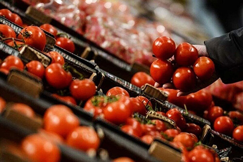 صادرات پیاز و گوجه‌فرنگی به زودی محدود می‌شود