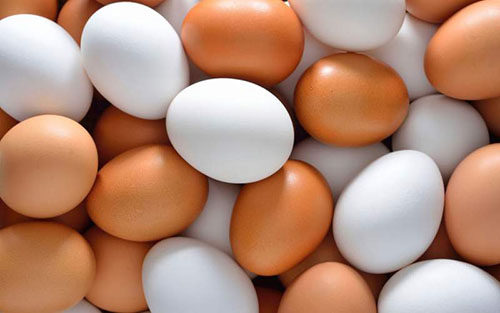 هجوم به بازار تخم‌مرغ به دليل كاهش توان خريد گوشت و مرغ