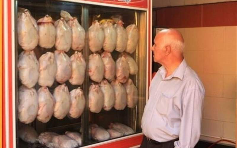 سرانه مصرف مرغ ۶ کیلوگرم کاهش یافت