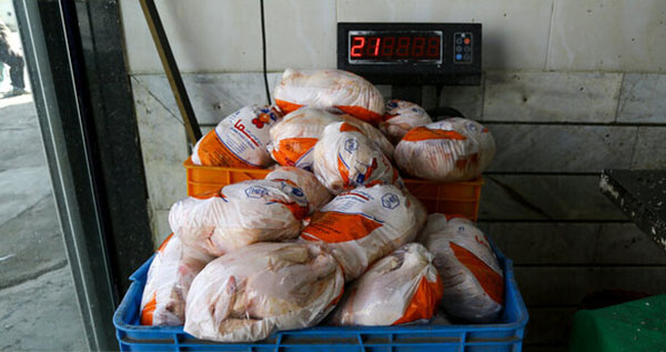 مرغ منجمدی در بازار عرضه نمی‌شود