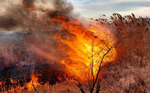 مهار آتش‌سوزی در پارک‌ ملی دریاچه ارومیه