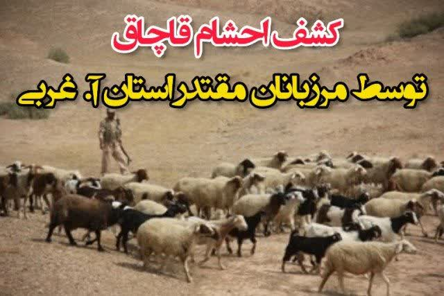 کشف 283 رأس گوسفند قاچاق در مرز ارومیه