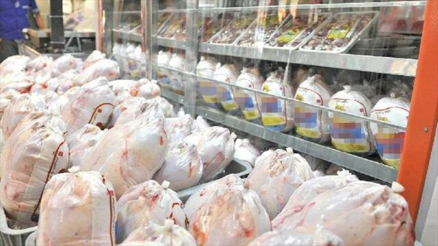 ۴۳۶ تن مرغ گرم روانه بازار مصرف آذربایجان غربی شد