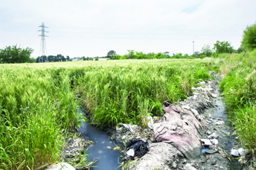 آبیاری محصولات کشاورزی با آب فاضلاب ممنوع می‌شود