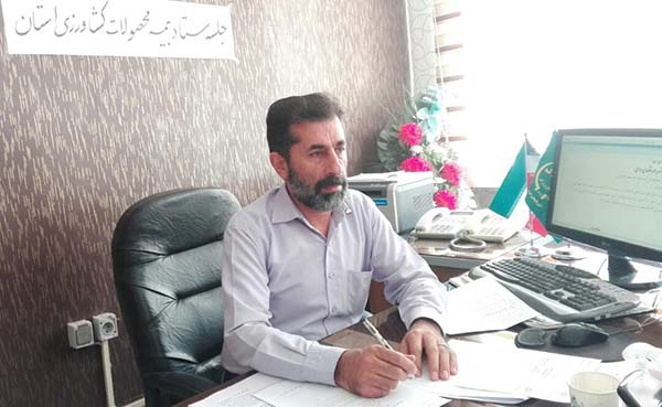 ۲۱۵۹ میلیارد تومان خسارت به بخش کشاورزی وارد شد