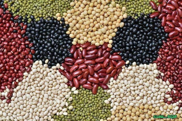 پیشنهاد نایب‌رئیس کمیسیون کشاورزی برای کاهش قیمت حبوبات