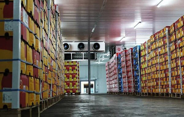 وجود ۴۵۰ هزار تُن سیب درختی در سردخانه‌های آذربایجان‌غربی