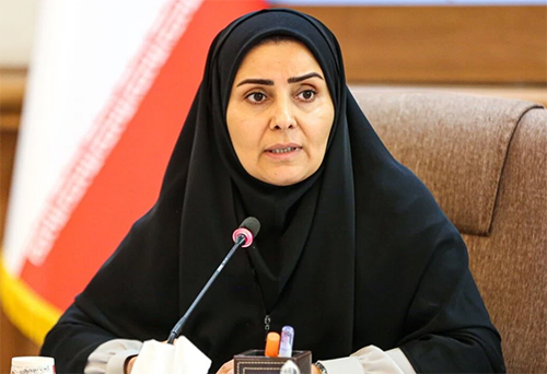 میزان پذیرش ناوگان در پلدشت به ۶۰۰ دستگاه افزایش یابد