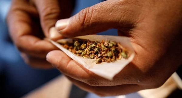 عوارض مصرف حشیش و گل تشریح شد