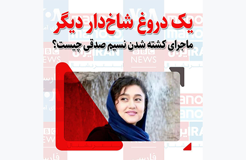 تشریح ماجرای کشته شدن نسیم صدقی